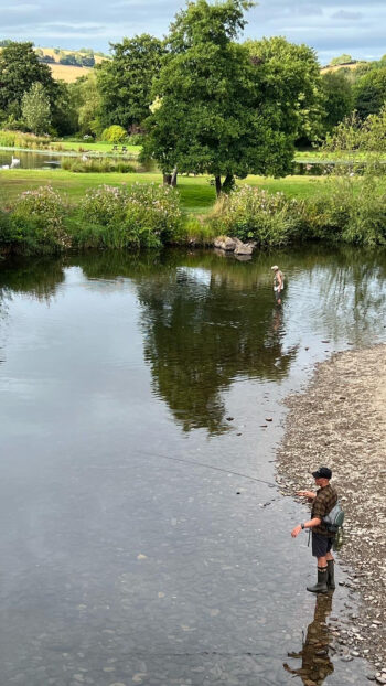 Man fly fishing in the River Exe, Somerset